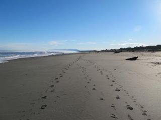 Shining Star Beachfront Accommodation Hokitika Exterior photo